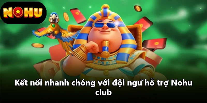 Kết nối nhanh chóng với đội ngũ hỗ trợ Nohu club